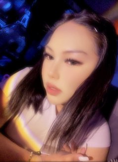 New Transchubby Aisha - Transsexual escort in Manila Photo 2 of 4