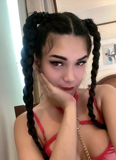 New Versatile Ts in Town - Acompañantes transexual in Kuala Lumpur Photo 20 of 21