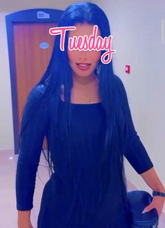 New Young Arab Queen New Bahrain - escort in Al Manama Photo 1 of 3