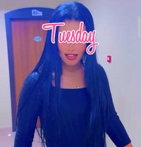 New Young Arab Queen New Bahrain - escort in Al Manama