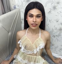 New young ladyboy in Oman🇴🇲 - Transsexual escort in Muscat