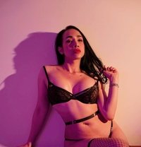 New Dubai Natty&Laila lily Group Sex - Transsexual escort in Dubai