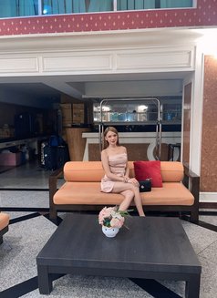 Newest Big Cock - Transsexual escort in Kuala Lumpur Photo 7 of 11