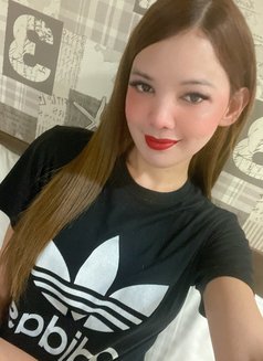 Newest Big Cock - Transsexual escort in Kuala Lumpur Photo 11 of 11