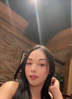 Newest in town just landed TS Angelica - Transsexual escort in Kuala Lumpur Photo 6 of 18