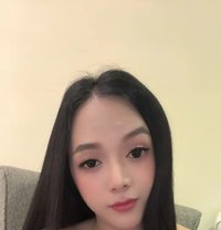 Newest in town just landed TS Angelica - Transsexual escort in Kuala Lumpur