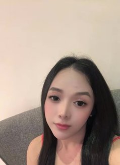Newest in town just landed TS Angelica - Transsexual escort in Kuala Lumpur Photo 16 of 18