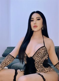 Newest Ladyboy Big Cock Full Of Cum - Acompañantes transexual in Sharjah Photo 24 of 26