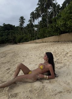 The ladyboy of your dreams - Acompañantes transexual in Manila Photo 30 of 30