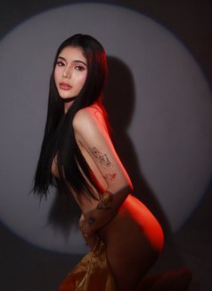 Newface/Hardcore_Mariia!🇵🇭 - Transsexual escort in Hong Kong Photo 19 of 20