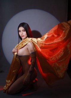 Newface/Hardcore_Mariia!🇵🇭 - Transsexual escort in Taichung Photo 24 of 24
