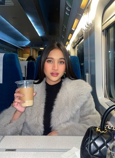 NewGirl Tanya (Last 4days ) - escort in Seoul Photo 30 of 30