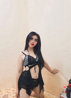 Newlady Falaj - puta in Al Sohar Photo 1 of 5