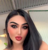 Newladyboy - Transsexual escort in Al Sohar