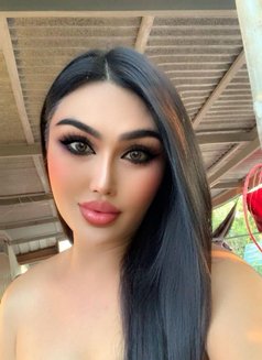 Newladyboy - Transsexual escort in Al Sohar Photo 3 of 9