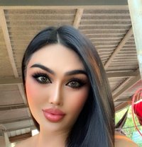 Newladyboy - Transsexual escort in Al Sohar