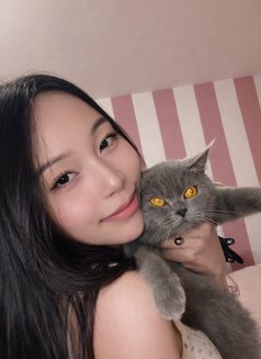 Newly Girl in Town Mina - escort in Manila Photo 2 of 28