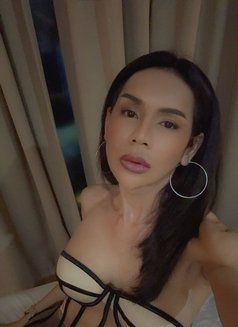 Sexy ladyboy in Bangkok - Transsexual escort in Bangkok Photo 9 of 9