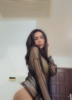 Newnew ladyboy in Bangkok - Transsexual escort in Bangkok Photo 7 of 7