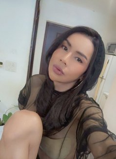 Newnew ladyboy in Bangkok - Transsexual escort in Bangkok Photo 1 of 7