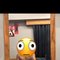 Nex - Male adult performer in Ahmedabad