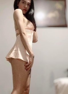Ngọc Ngọc Ladyboy - Transsexual escort in Ho Chi Minh City Photo 4 of 30