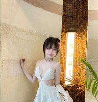 Lyly - escort in Gurgaon