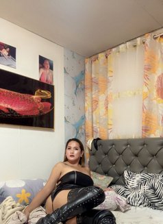 Nhicole lim - Transsexual escort in Manila Photo 14 of 19