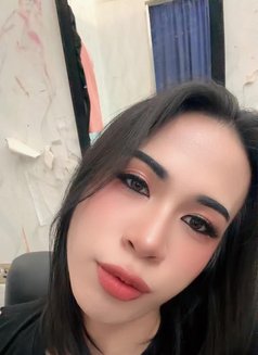Ni New Ladyboy Thailand - Transsexual escort in Doha Photo 1 of 12