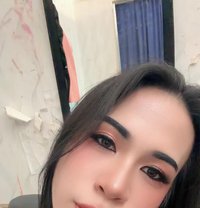 Ni New Ladyboy Thailand - Transsexual escort in Doha
