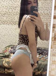 Ni New Ladyboy Thailand - Transsexual escort in Doha Photo 2 of 12