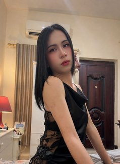 Ni New Ladyboy Thailand - Transsexual escort in Doha Photo 4 of 12