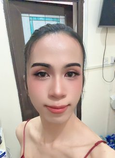Ni New Ladyboy Thailand - Transsexual escort in Doha Photo 5 of 12