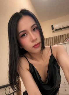Ni New Ladyboy Thailand - Transsexual escort in Doha Photo 7 of 12