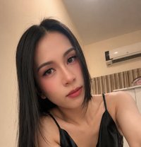 Ni New Ladyboy Thailand - Transsexual escort in Doha