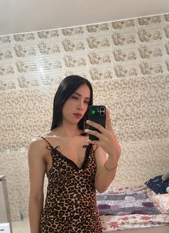 Ni New Ladyboy Thailand - Transsexual escort in Doha Photo 11 of 12