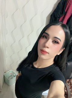Ni New Ladyboy Thailand - Transsexual escort in Doha Photo 12 of 12