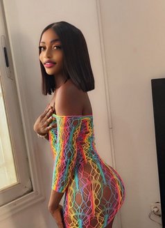 Nia - escort in Dakar Photo 1 of 1