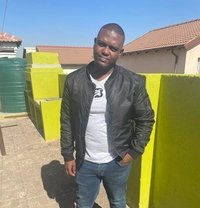 Nib - Dominador masculino in Pretoria