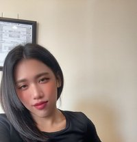 Nica - Transsexual escort in Al Sohar