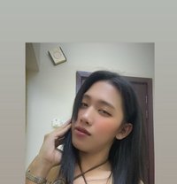 Nica - Transsexual escort in Al Sohar