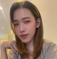 Nica - Transsexual escort in Al Sohar