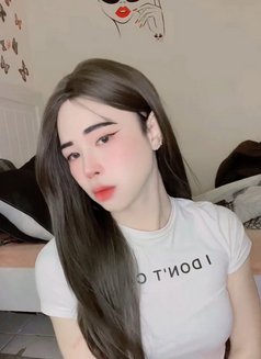 Nice new ladyboy - Male escort in Doha Photo 6 of 7