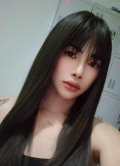 Nice new ladyboy - Male escort in Doha Photo 4 of 7