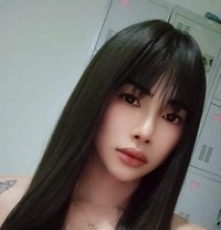 Nice new ladyboy - Male escort in Doha