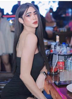 Nice new ladyboy - Male escort in Doha Photo 3 of 7