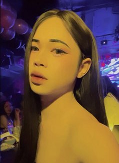 Nice new ladyboy - Male escort in Doha Photo 1 of 7