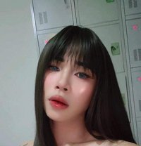 Nice new ladyboy - masseur in Doha