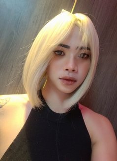 Nice new ladyboy - Male escort in Doha Photo 7 of 7