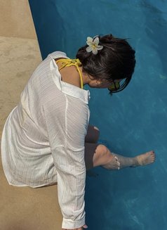Nicetomeet - escort in Yanbu Photo 1 of 2